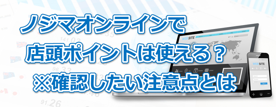 ノジマオンラインで店頭ポイントは使える?※確認したい注意点とは